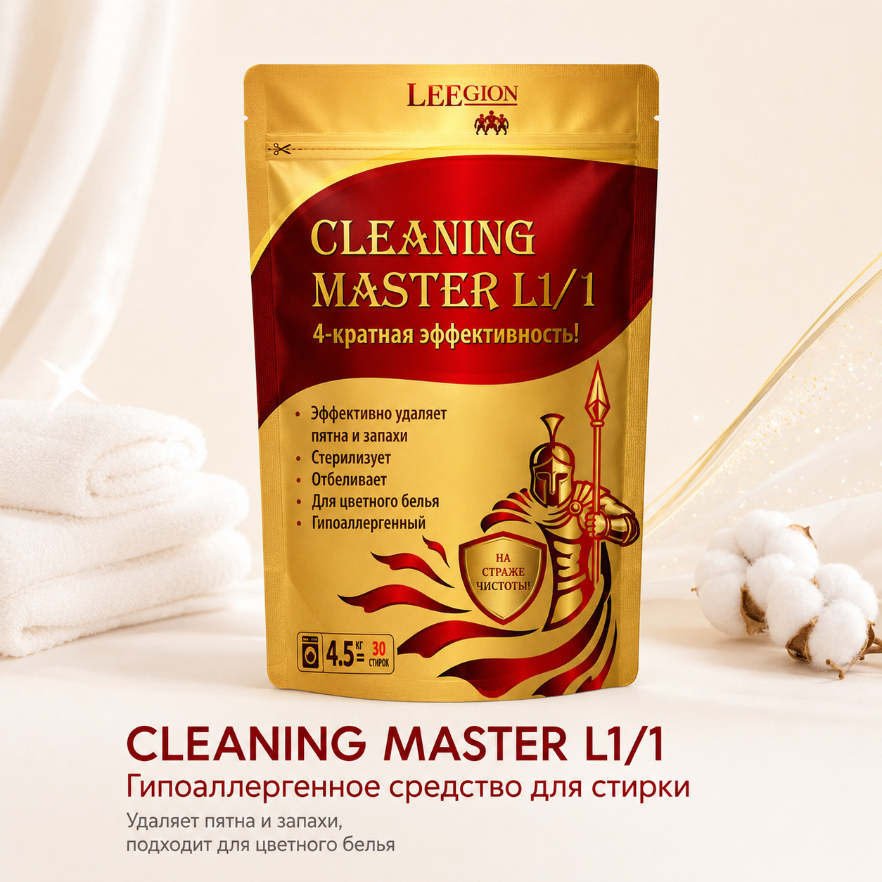 Cleaning Master Legion